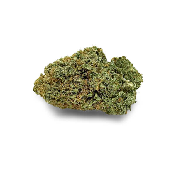 Blueberry Cheese | Indica Strain | Buy Blueberry Cheese Weed Online