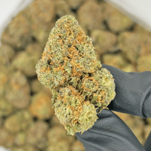 Gelato
