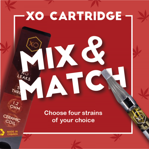 XO Cartridge | BC Medi Chronic | Mix & Match