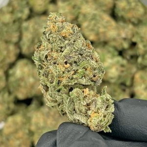 Agent Orange | Best Online Dispensary