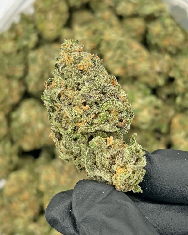 Agent Orange | Best Online Dispensary