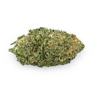 Agent Orange | Best Online Dispensary