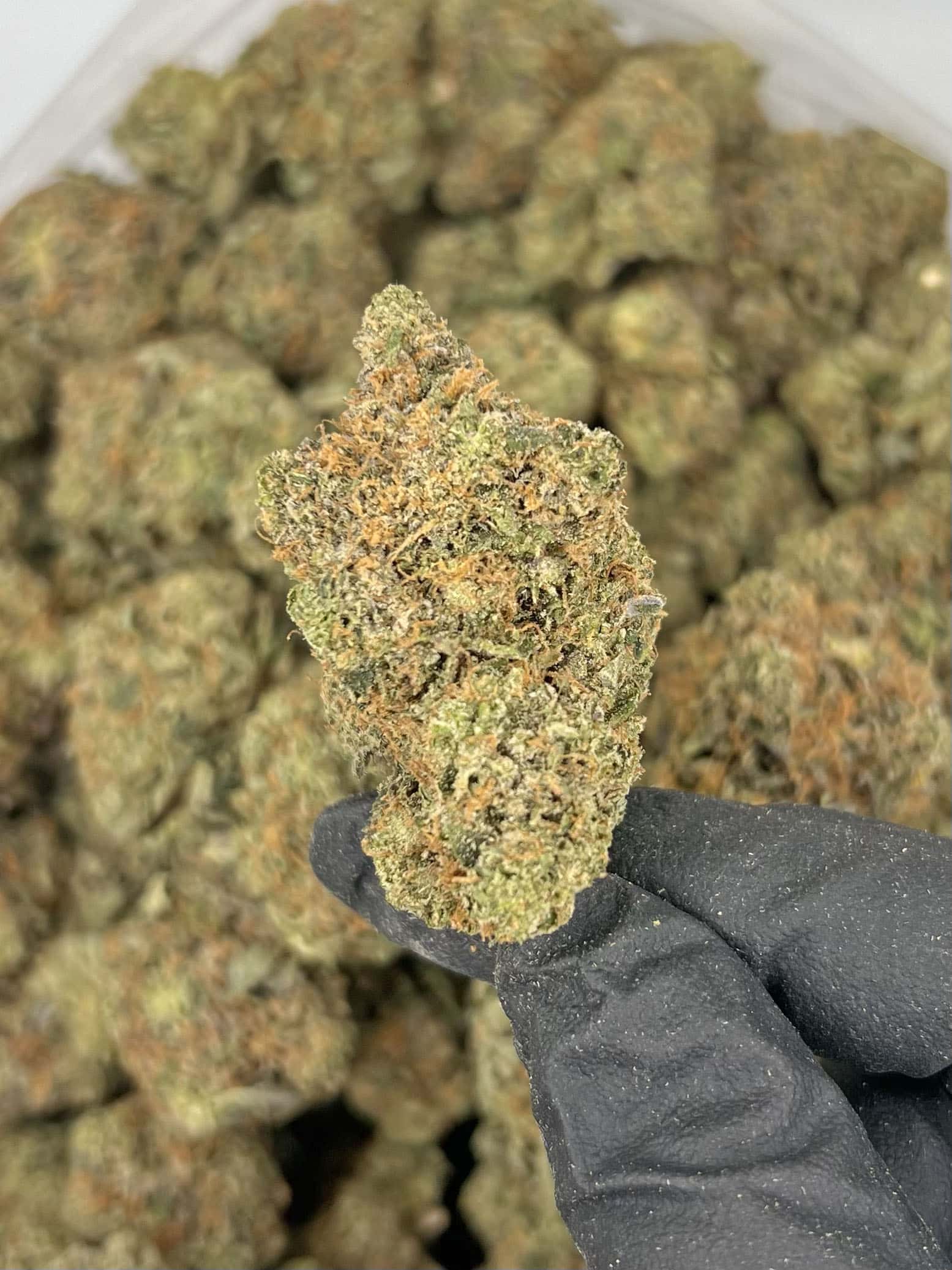 MKU | Best Online Dispensary