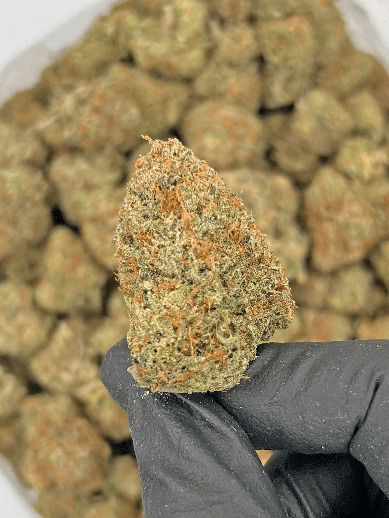 nuken | Best Online Dispensary