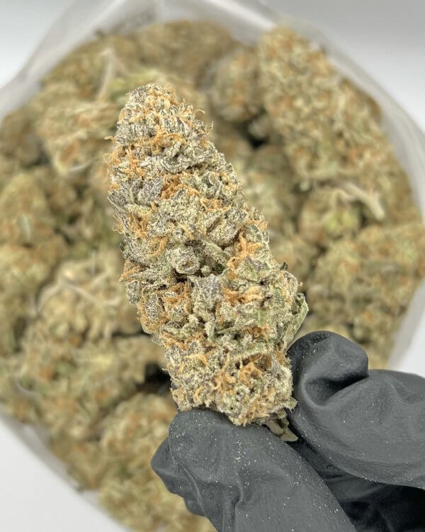 Cali Kush | Best Online Dispensary