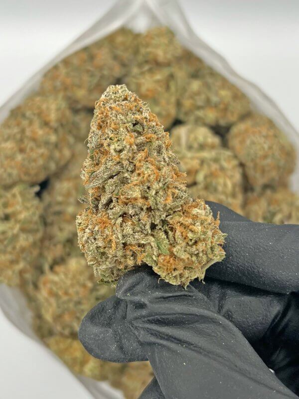 Orange Diesel | Best Online Dispensary