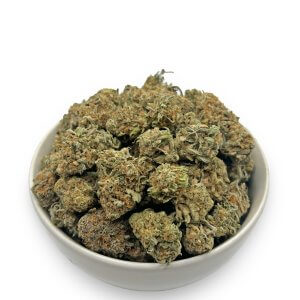 Orange Diesel | Best Online Dispensary