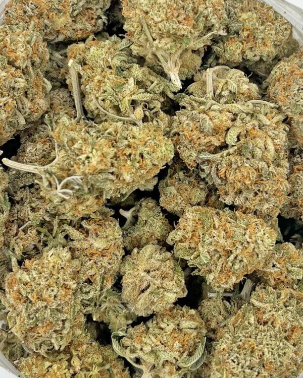 Orange Diesel | Best Online Dispensary