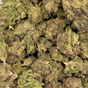 Purple Kush | Best Online Dispensary
