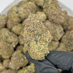 Strawberry Cream | Best Online Dispensary