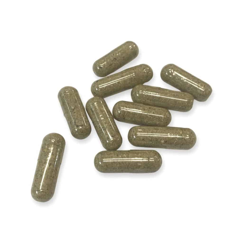 Magic Mushroom Capsules 1000mg BC Medi Chronic