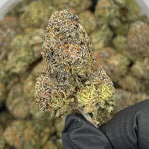 Goudaberry | Best Online Dispensary