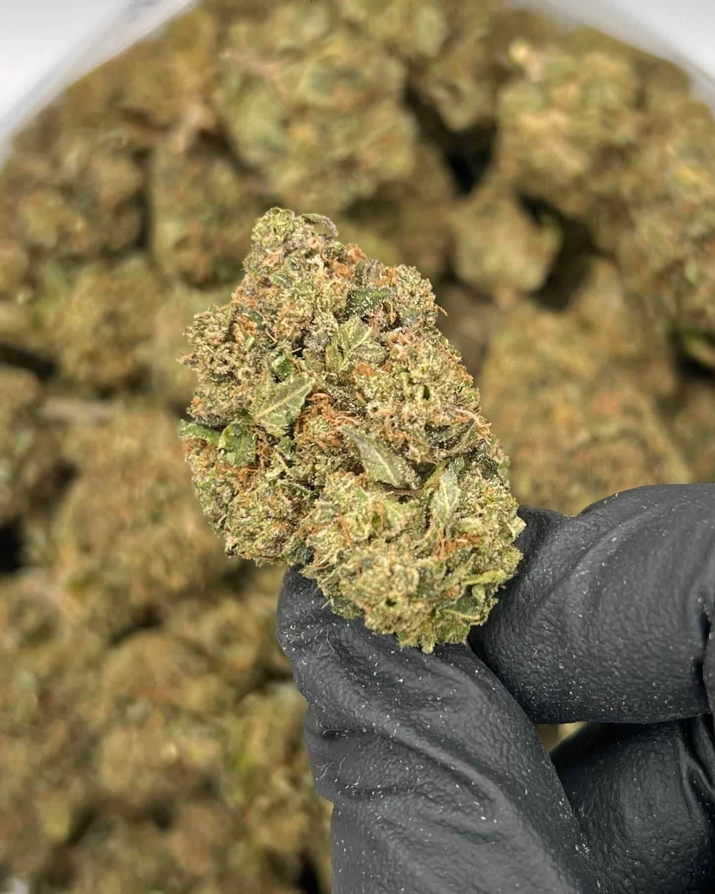 TFPK | Best Online Dispensary