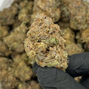 Purple Diesel | Best Online Dispensary