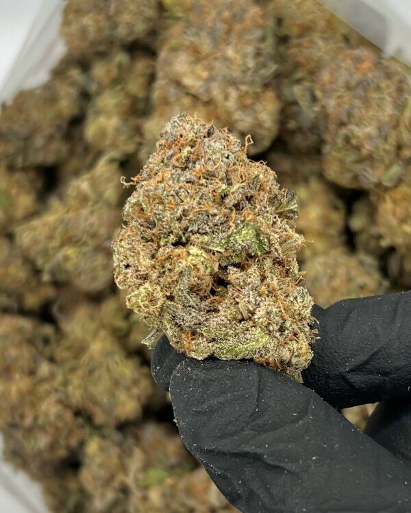 Purple Diesel | Best Online Dispensary