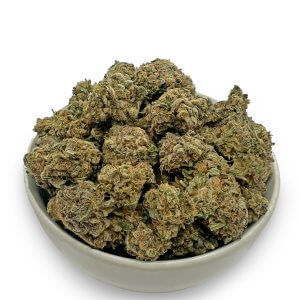 Purple Diesel | Best Online Dispensary