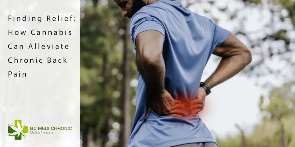 bcm blog chronic back pain