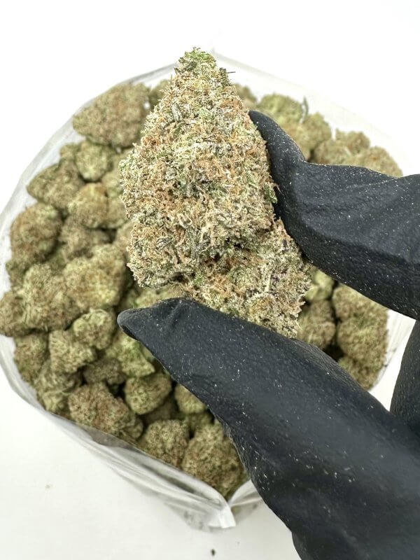 Blue Coma | Best Online Dispensary