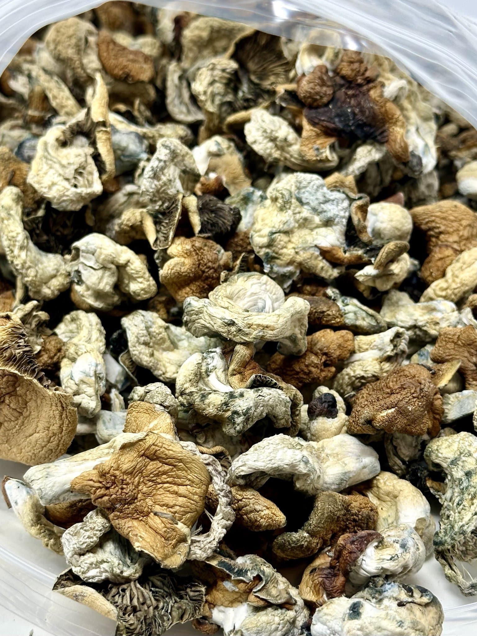 Code Blue Magic Mushrooms BC Medi Chronic