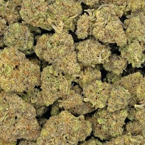 Purple Legend Bomb | Best Online Dispensary