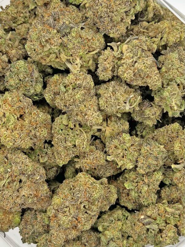 Purple Legend Bomb | Best Online Dispensary