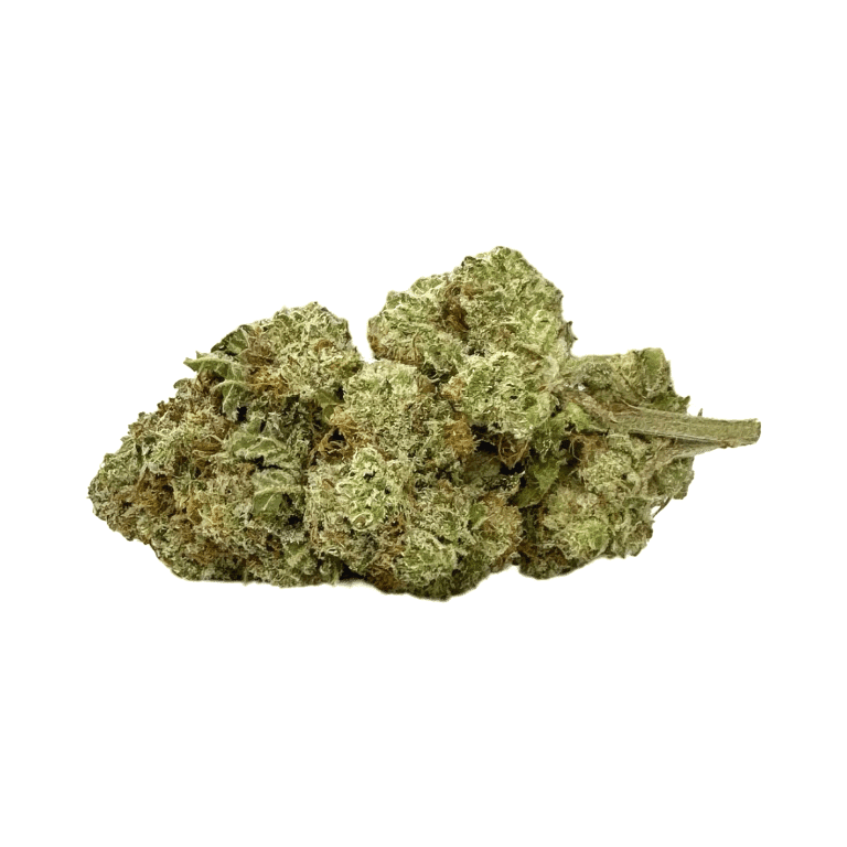 Donkey Butter BC Medi Chronic