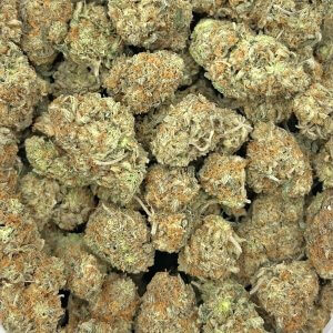 GMO Cookies | Best Online Dispensary