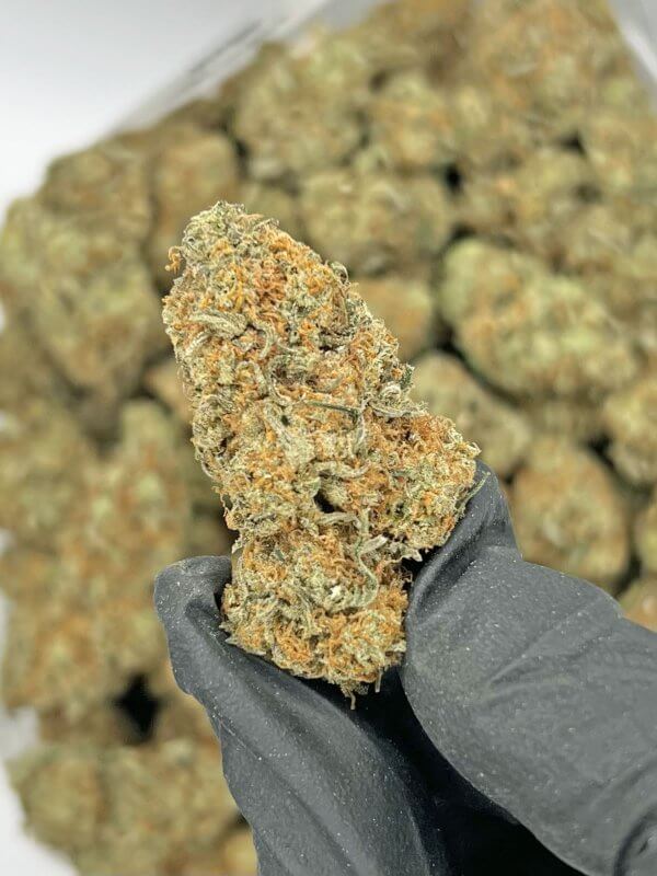 GMO Cookies | Best Online Dispensary