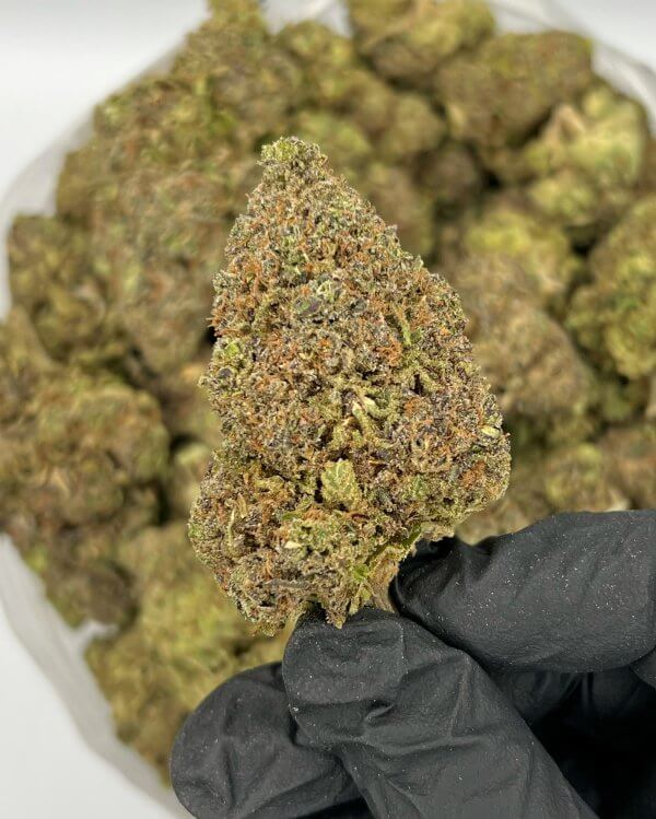 Jack Herer | Best Online Dispensary