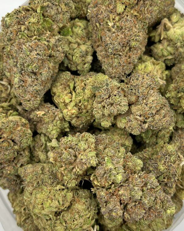 Jack Herer | Best Online Dispensary