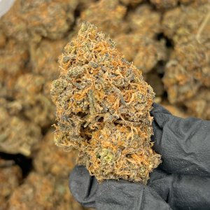 Mendo Purps | Best Online Dispensary