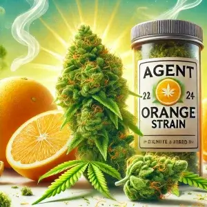 What is the Agent Orange Strain