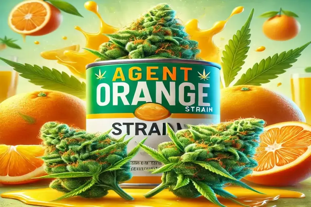 Why the Agent Orange Strain is a Must Try for Citrus Cannabis Fans