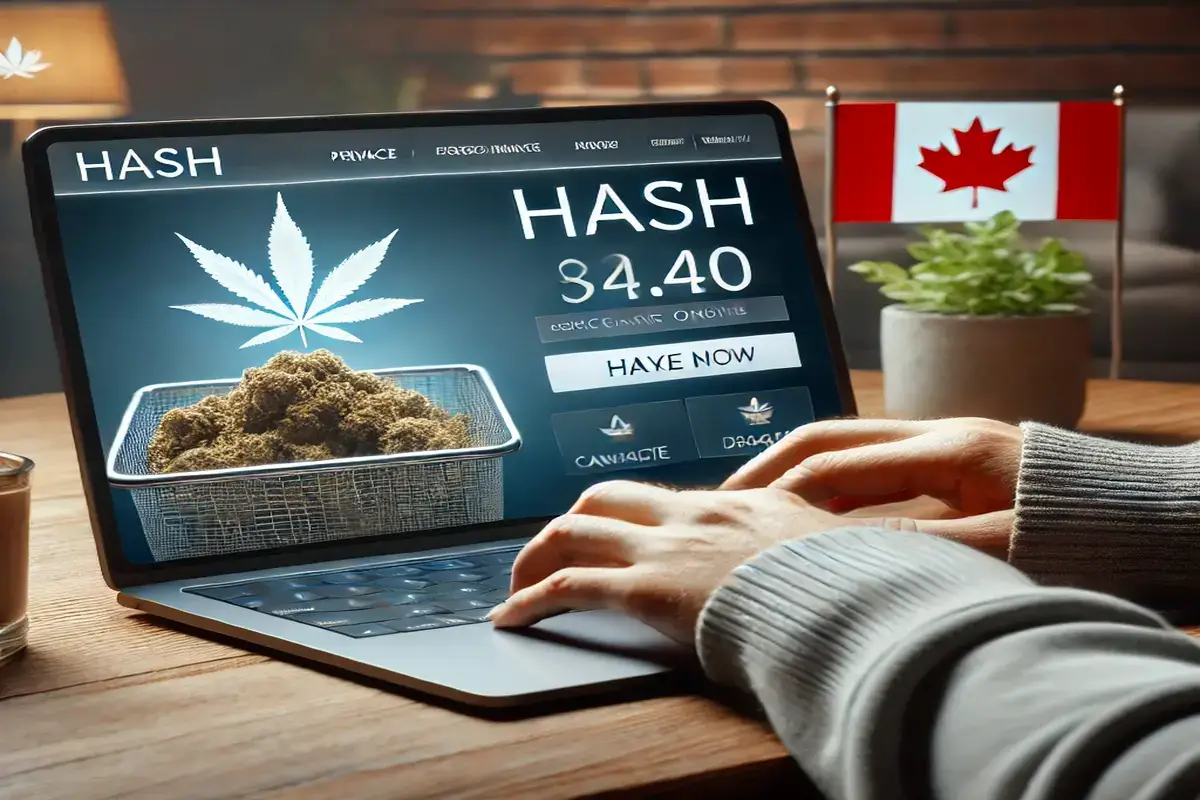 Buy Hash Online in Canada What You Need to Know