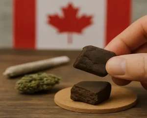 Why Canadians Are Falling in Love with Mazar I Sharif Hash