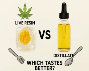 Live Resin vs Distillate Flavour Which Tastes Better