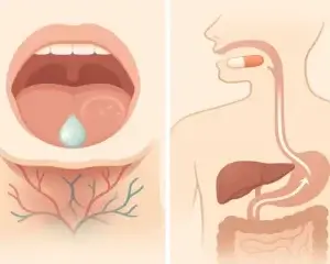 Sublingual vs oral mechanics (and why “hold time” is everything)