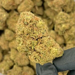Bruce Banner | Best Online Dispensary
