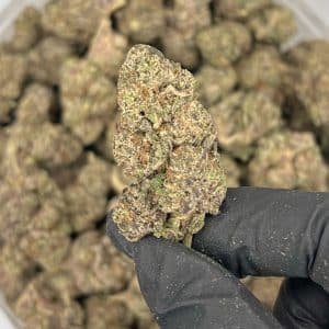 Death Tuna | Best Online Dispensary