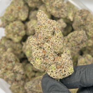 Mimosa | Best Online Dispensary