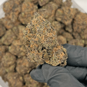 White Truffle | Best Online Dispensary