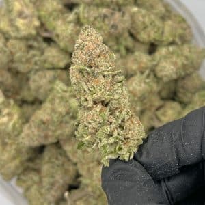 Lemon Haze | Best Online Dispensary