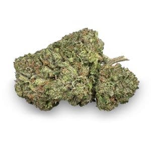 Pink Venom | Best Online Dispensary