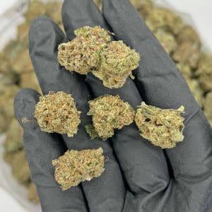 Zkittlez Smalls