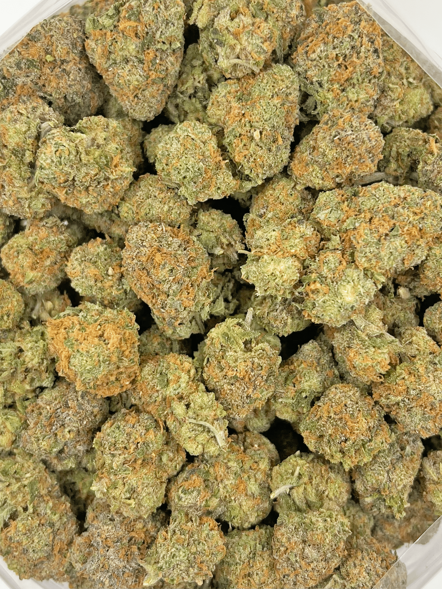 Gelato | Best Online Dispensary