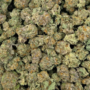 Frosted Gelato | Best Online Dispensary